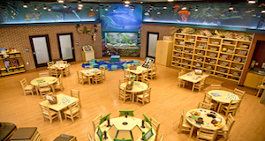 The Reading Reef