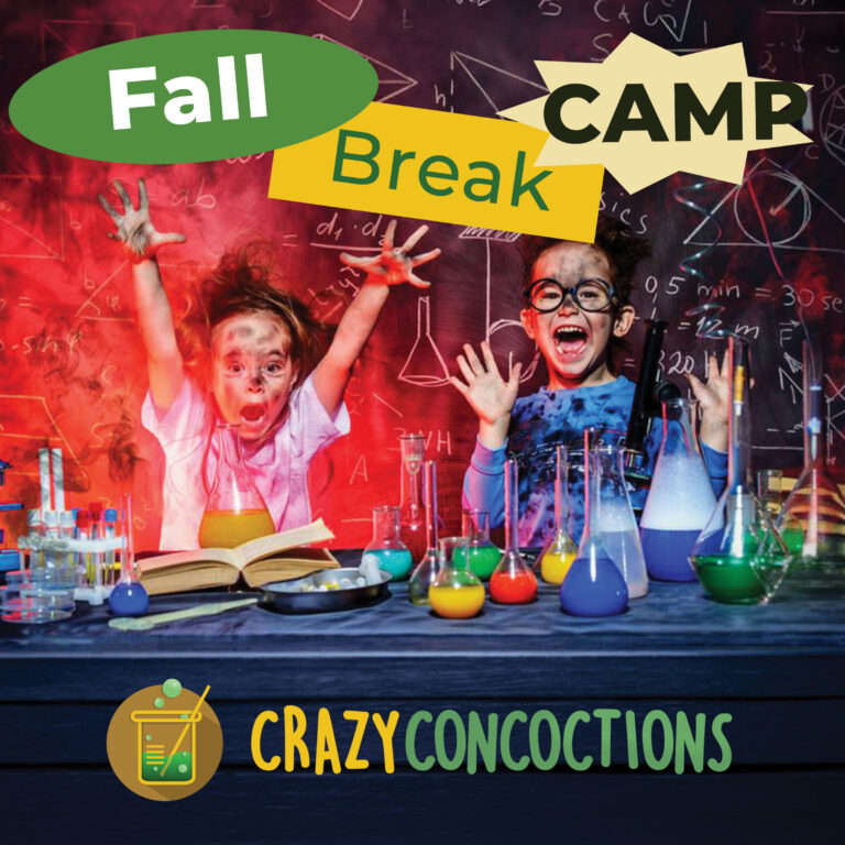 School Breaks & FALL BREAK Camp
