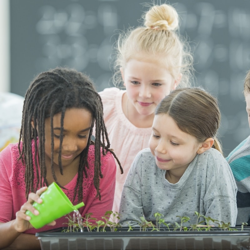 FUN AND CREATIVE DIY GARDENING PROJECTS FOR YOUNG EXPLORERS